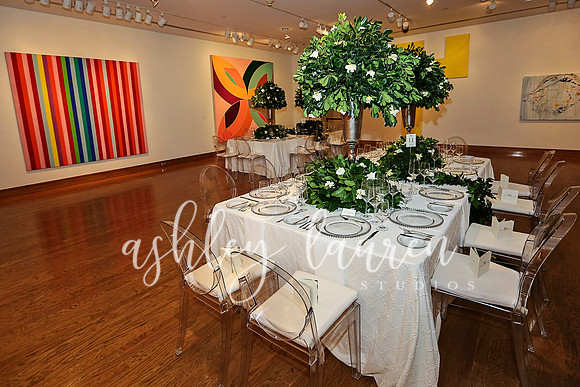 Southern Splendor Ball - Birmingham Museum of Art