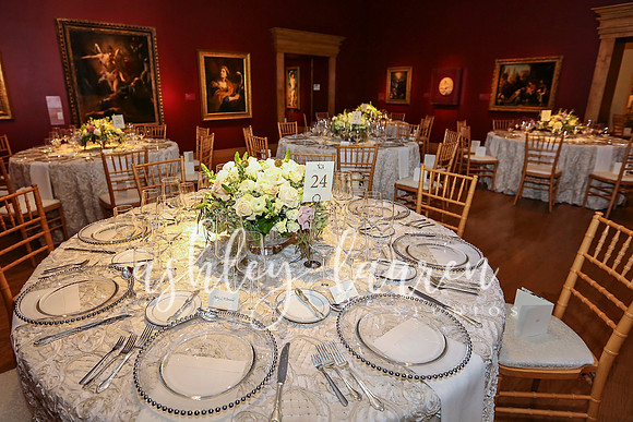 Southern Splendor Ball - Birmingham Museum of Art